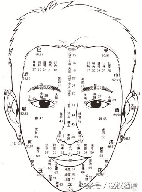 百歲流年圖|教你學懂面相學！各種面相法綜合分解，百歲流年運氣。